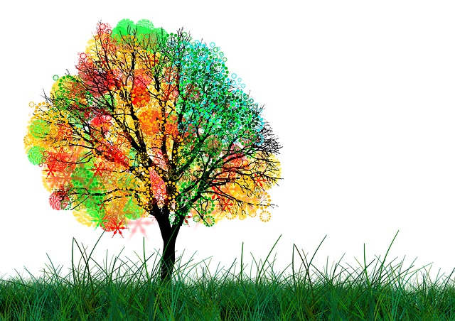 Nos meilleurs vœux pour 2026