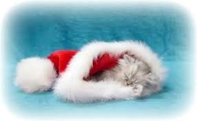 Pour passer Noël en douceur